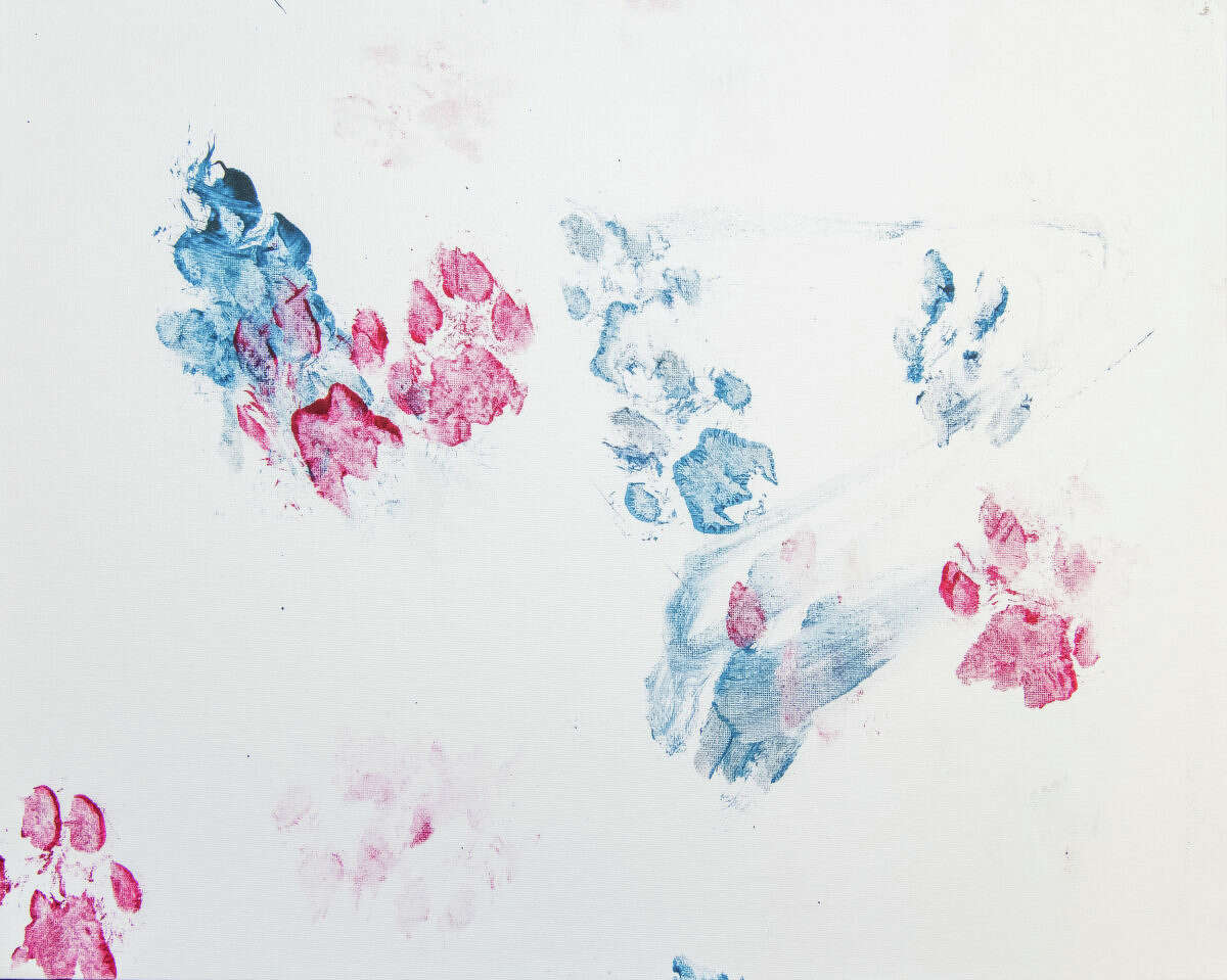 Can you guess which Houston Zoo animals created these artworks?