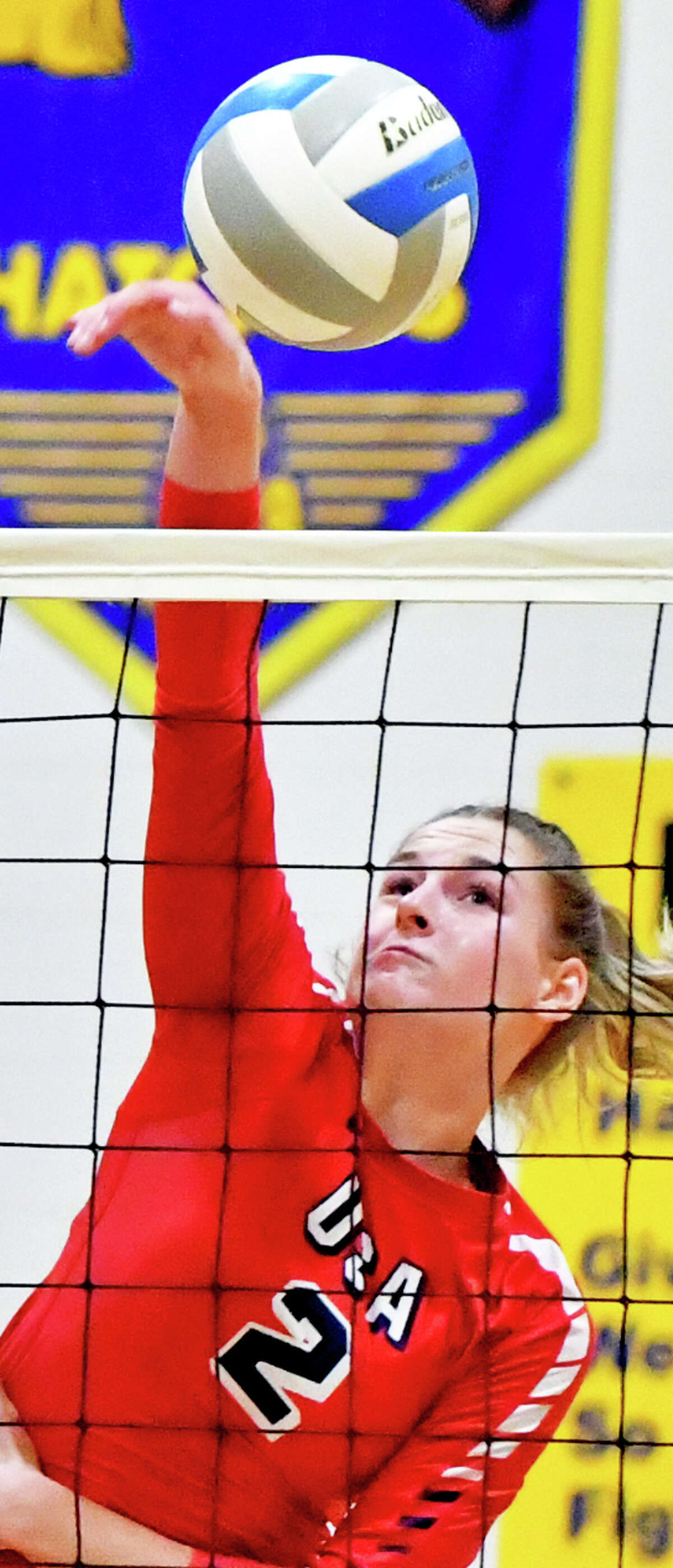 USA volleyball's Grace Williamson was named the Thumb Sportswriters Association's volleyball Player of the Year.