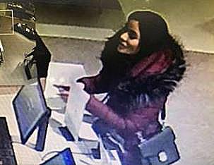 Photos: Woman uses stolen credit cards for $12K shopping spree at SoNo ...