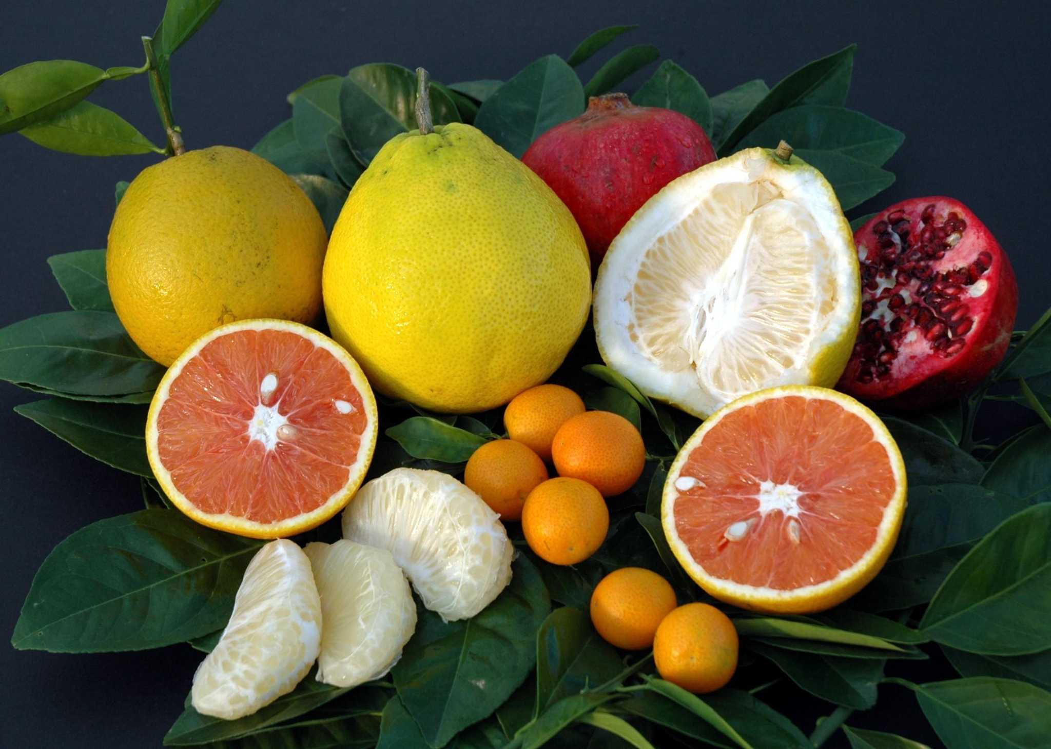 Мандарин фрукт витамины. Фрукты фото. Цитрусы. Фото фруктов. Цитрусовые овощи.