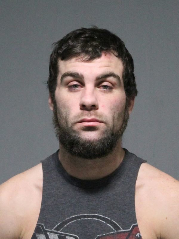  25  year  old  man  faces assault theft charges Lake County 