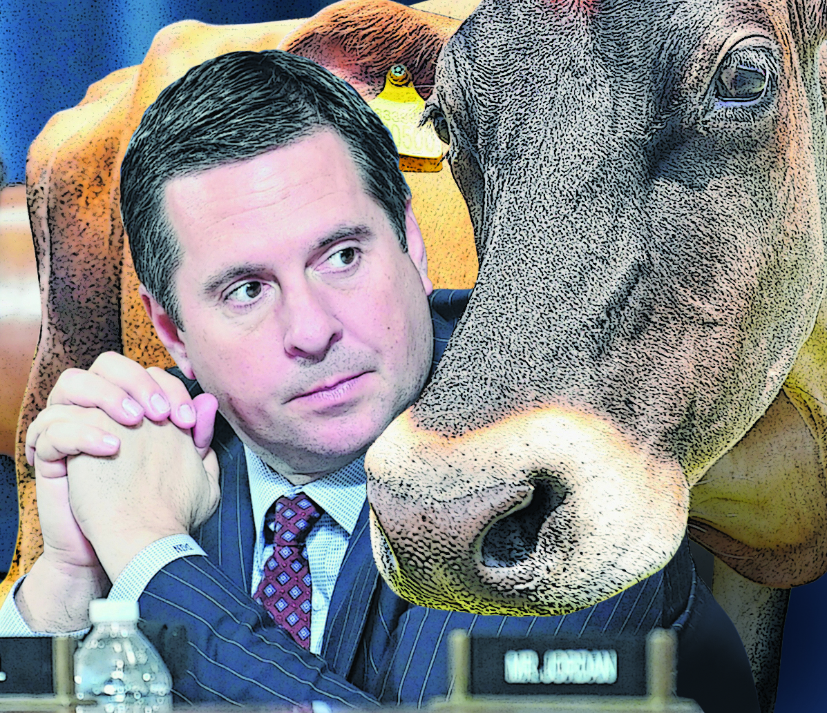 Fake Cattle Suing a fake cow, for fun and revenge