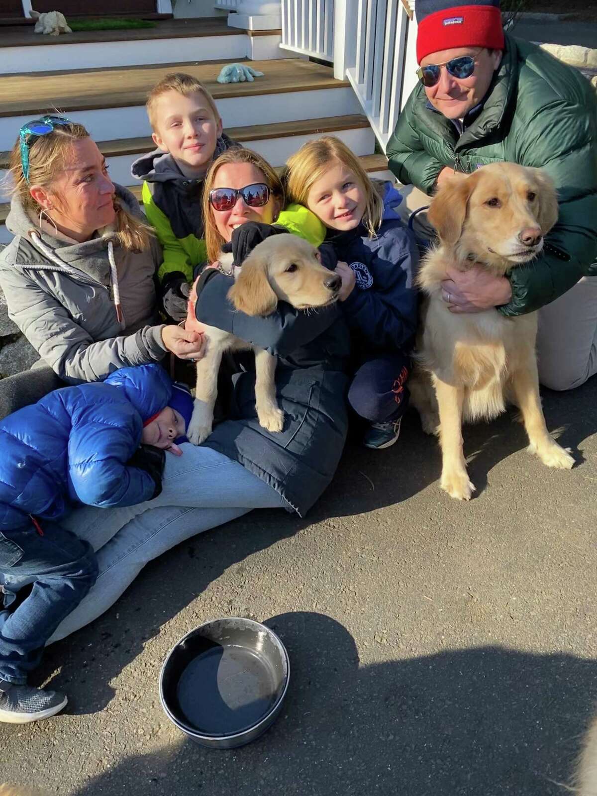 Mango has been found - here she is reunited with her happy family