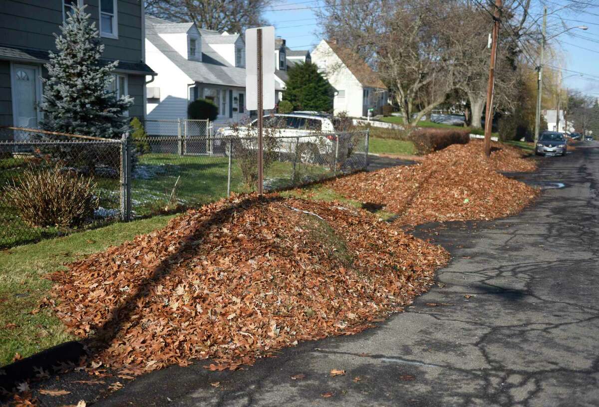 Fall When leaf pickup and illegaldumping cleanup collide in Stamford