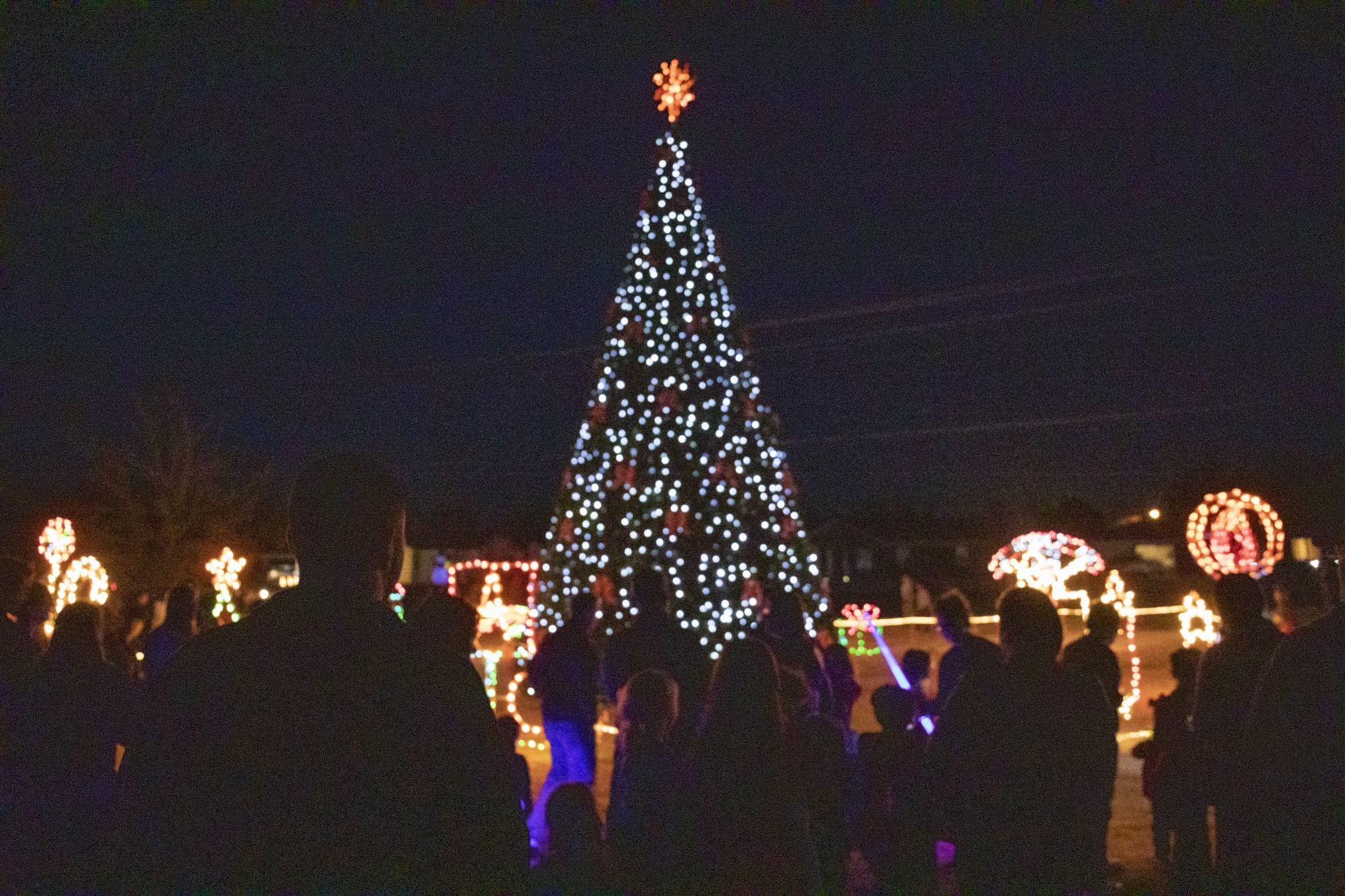 Midland Tx Christmas Events 2022 Midland Christmas Tree Lighting Happening Tonight