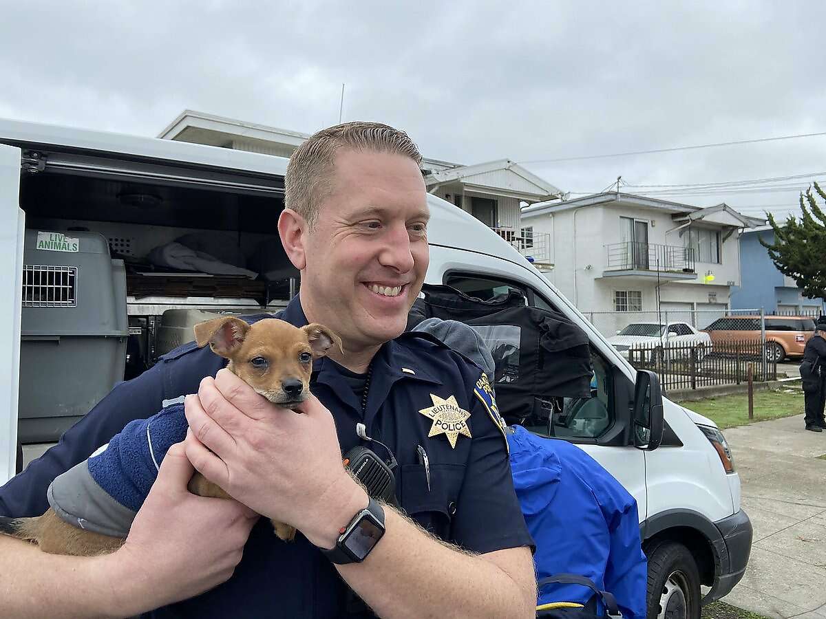 Oakland Police rescued 24 dogs left in a van with the motor running before being stolen.