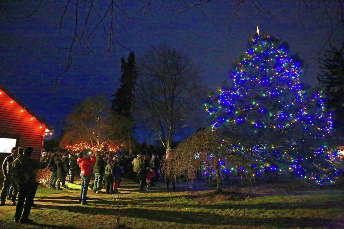 The tree lights turn on just after dark at the tree lighting event at the Wakeman Town Farm on Dec. 6, 2019, in Westport.