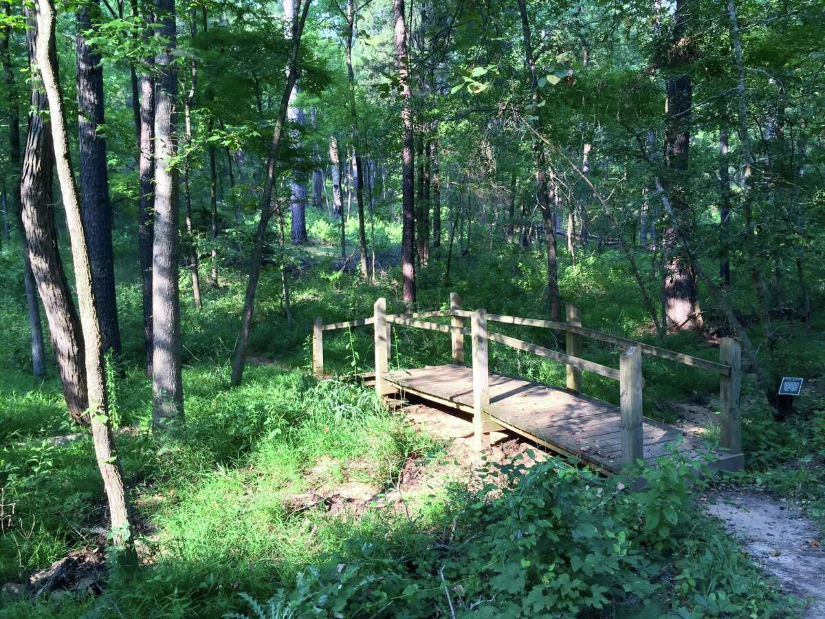 A bridge along the Whispering Pines Nature Trail at Tyler State Park, just outside of Tyler.