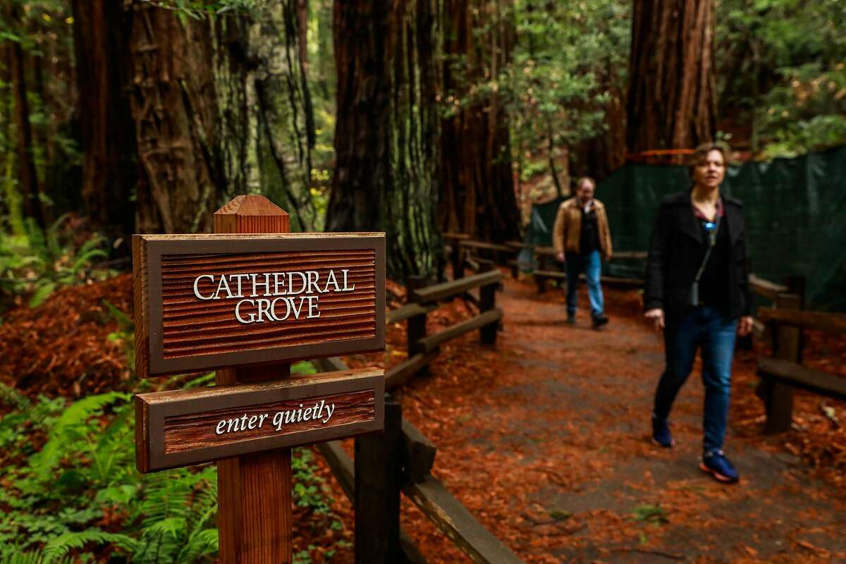People exit the Cathedral Grove where people are encouraged to limit noise at Muir Woods in Mill Valley, California, on Monday, Dec. 9, 2019.