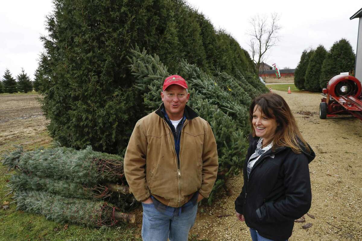 John and Diana Minalt own and operate Conifera Tree Farm in Harvard, Ill. The number of Christmas tree farmers is declining across the U.S. as older farmers retire. Illinois dropped from 212 tree growers in 2012 to 182 farmers in 2017, according to the latest U.S. Department of Agriculture data.