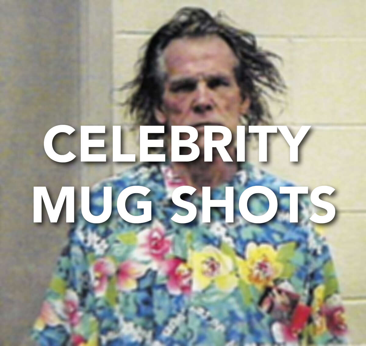 Continue ahead for more celebrity mug shots.