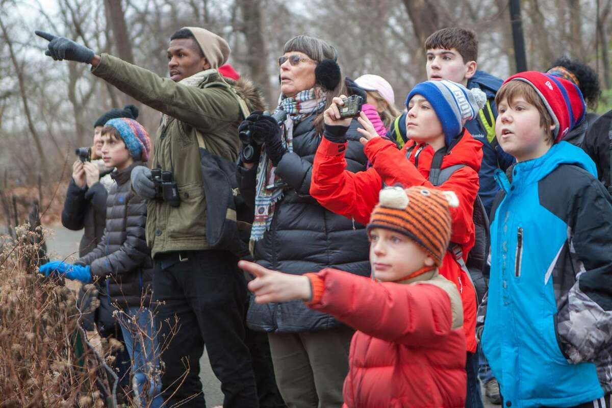 The 2019 Greenwich-Stamford Christmas Bird Count will take place Dec. 15 at Greenwich Audubon Center.