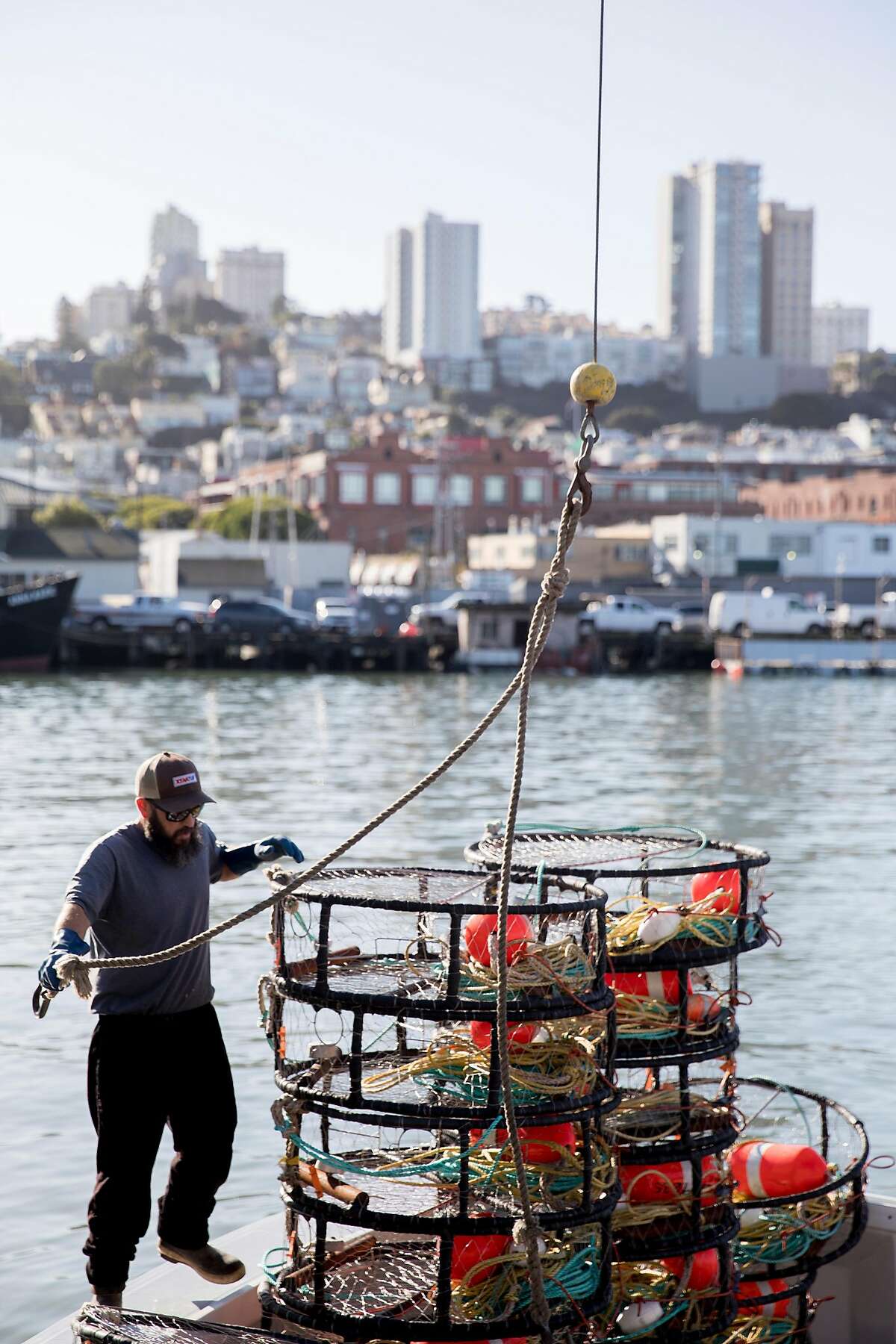 Commercial Dungeness crab season gets cracking after delay