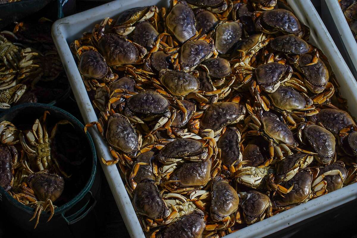 Fresh Dungeness crab finally on its way to Bay Area after fleets