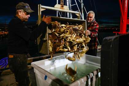 Ken Gerner (left) helps empty a container of Dungeness crab into a bin of saltwater Fisherman’s Wharf on Pier 45 in San Francisco at the beginning of last year’s season.