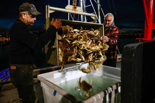 Commercial Dungeness Crab Season Gets Cracking After Delay