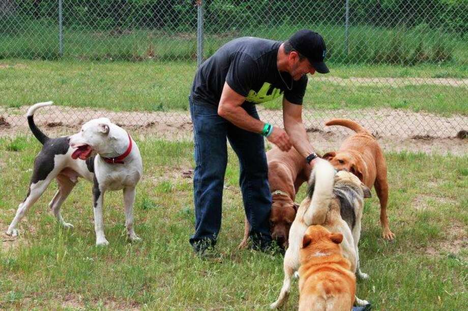 Becoming A Dog Trainer Animal Humane Society
