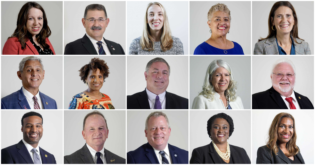 Houston City Council At-Large 5 Candidates 2025