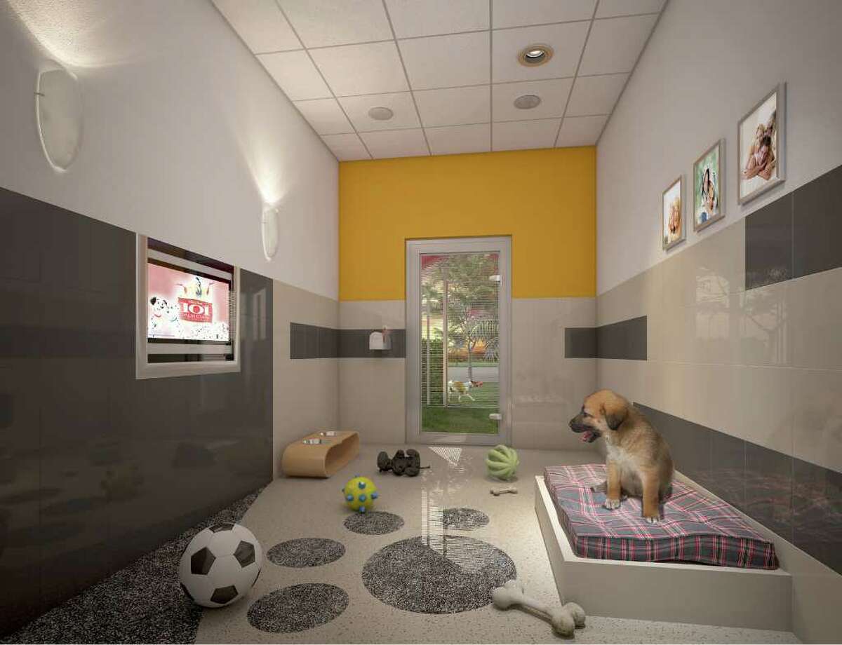 Проживание животных в квартире. Комната для животных. Комната для собак. Интерьер комнаты для собаки. Гостиница для собак.