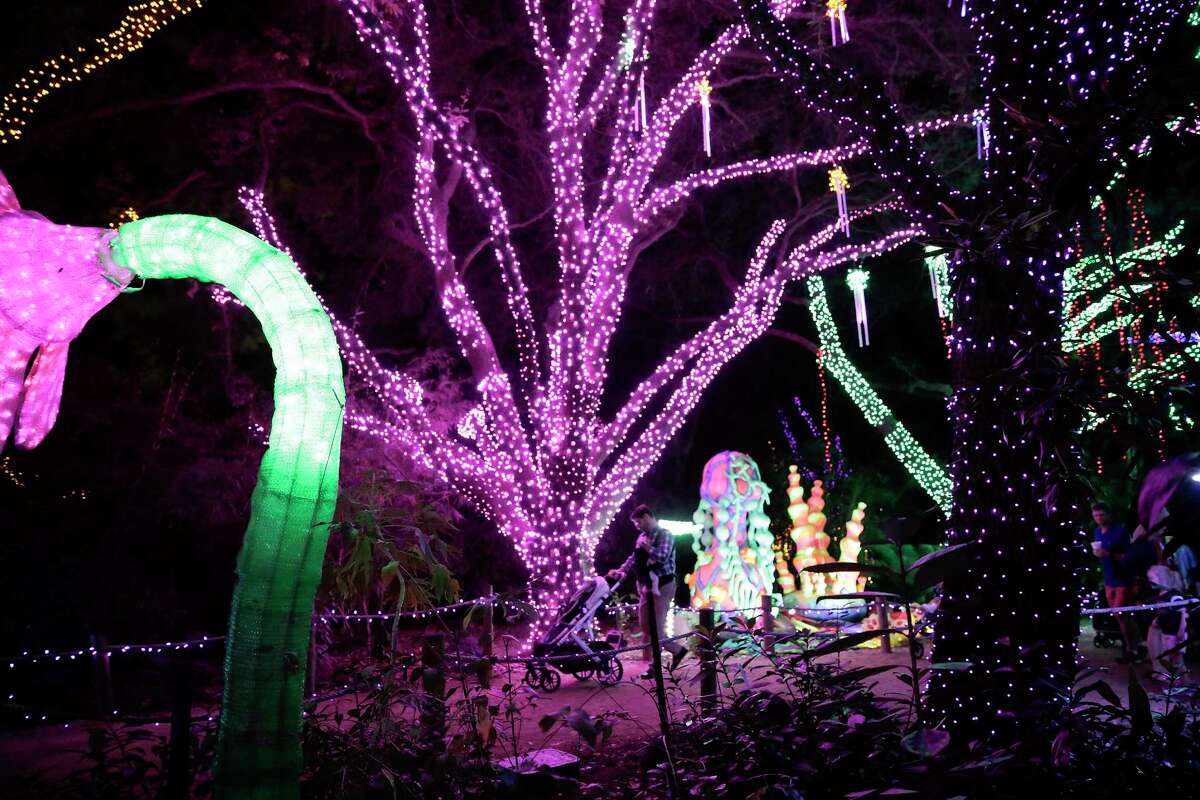 Zoo members enjoy a preview viewing of Houston Zoo's Zoo Lights on Wednesday, Nov. 20, 2019. Zoo Lights features smores, snows and lit exhibits that are photo worthy. The event will be open to the public November 23-January 12 from 5:30-10:30 p.m. with the last entry at 9:30 p.m.