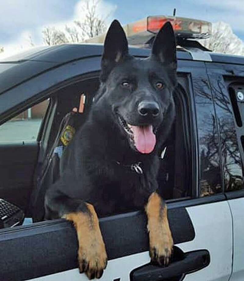 police k9