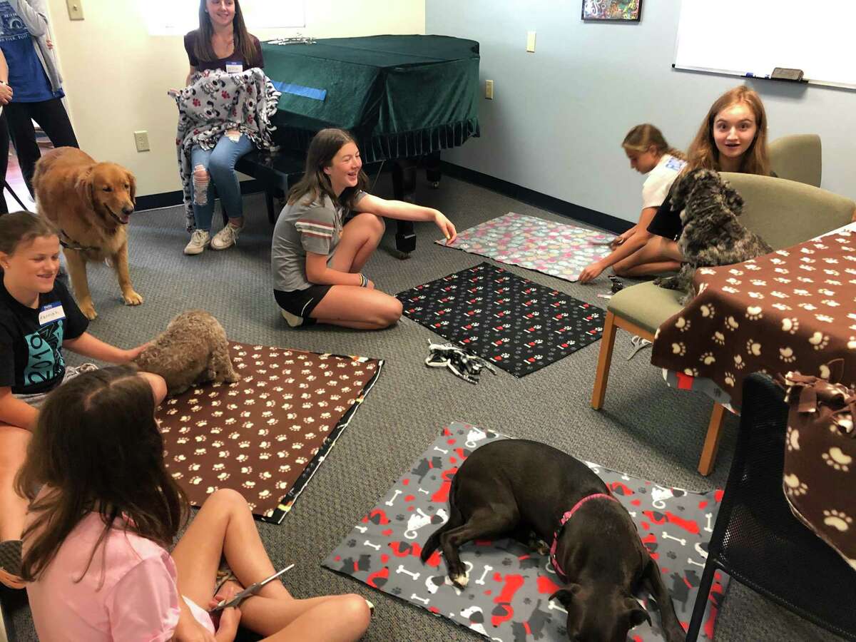 Kids, ages 8-14 and AATS staff will be sharing their therapy dogs and small animals with Carriage Green residents.
