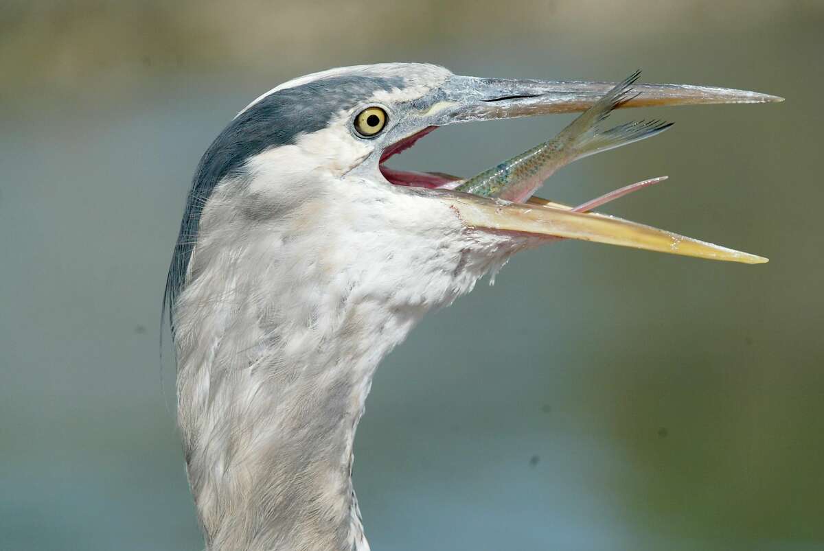 Loch lomond bait shop Clearance