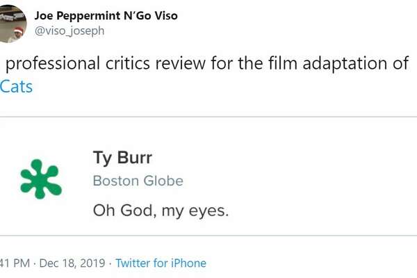 Hilarious Memes Pour In As Movie Critics Shred Cats In Reviews