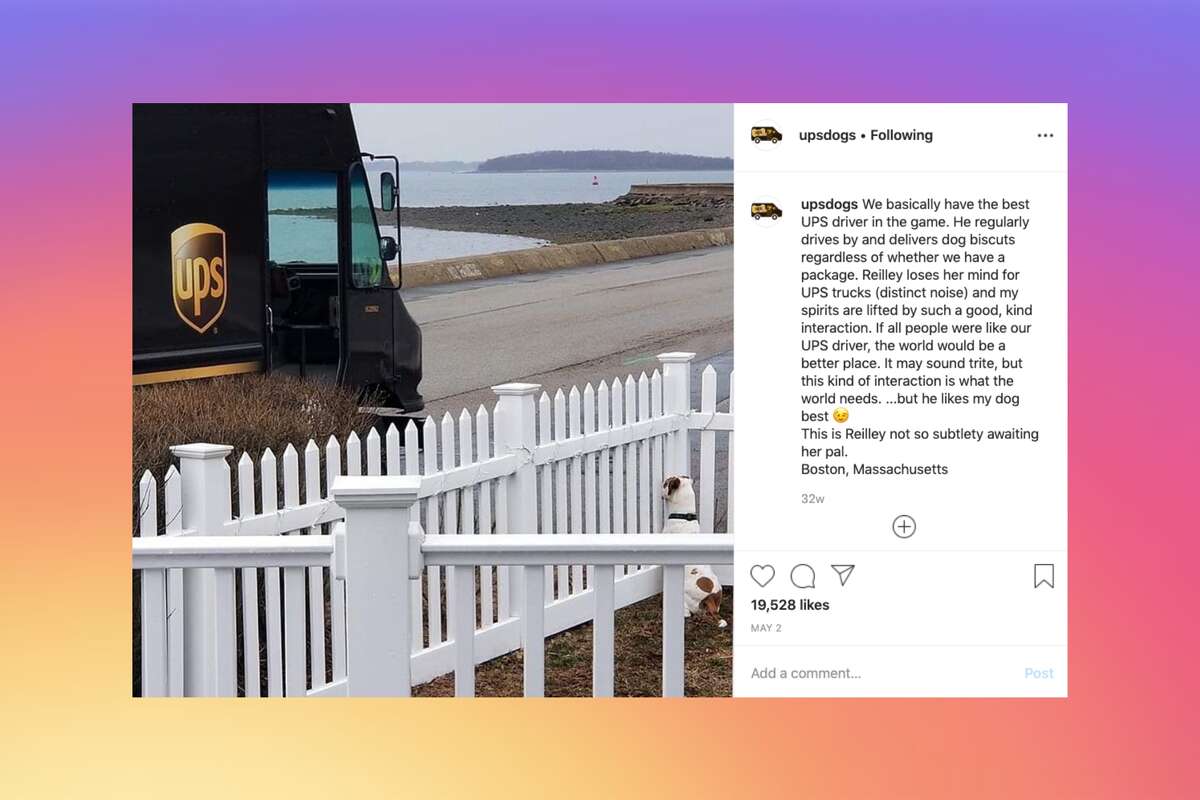 How a UPS driver used dogs on his route to make an Instagram account go viral
