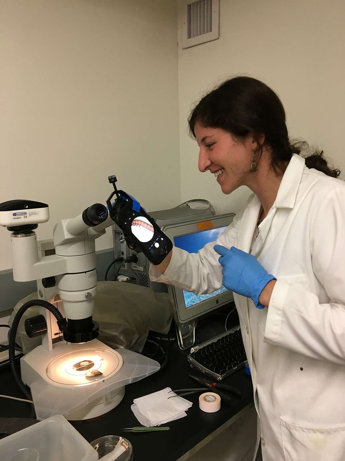 Researcher�Anja Malawi Brandon looking at mealworms under a miscroscope at Stanford University.