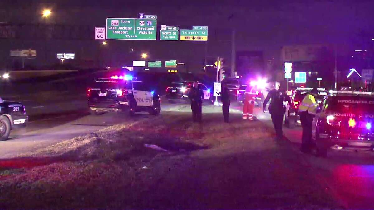 A man was struck by multiple vehicles and killed late Saturday after jumping onto I-45 at an underpass in southeast Houston, officials said.