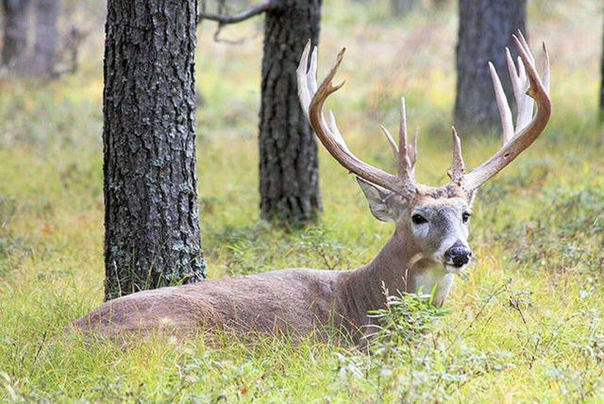 Illinois firearm deer hunters only bagged about 5,000 fewer deer this fall when compared to last year’s disappointing harvest.