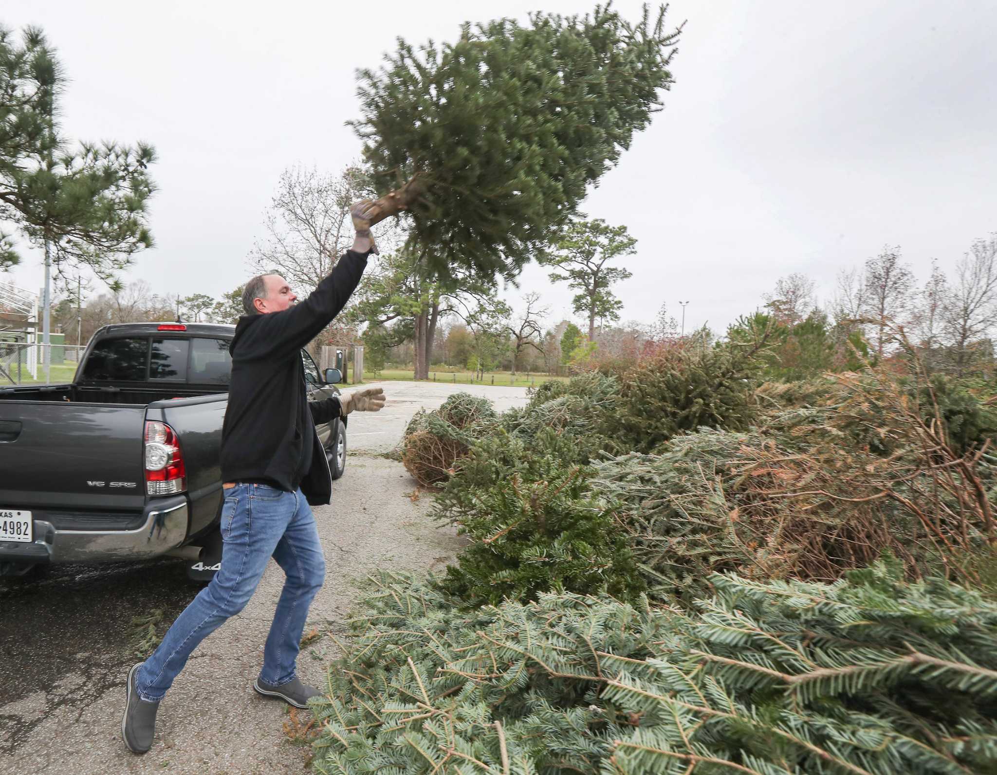 Over two dozen sites will accept Christmas trees for free recycling