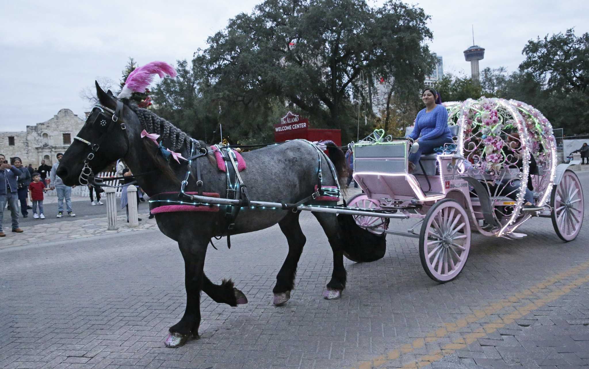 San Antonio must end antiquated tradition of horse-drawn carriages