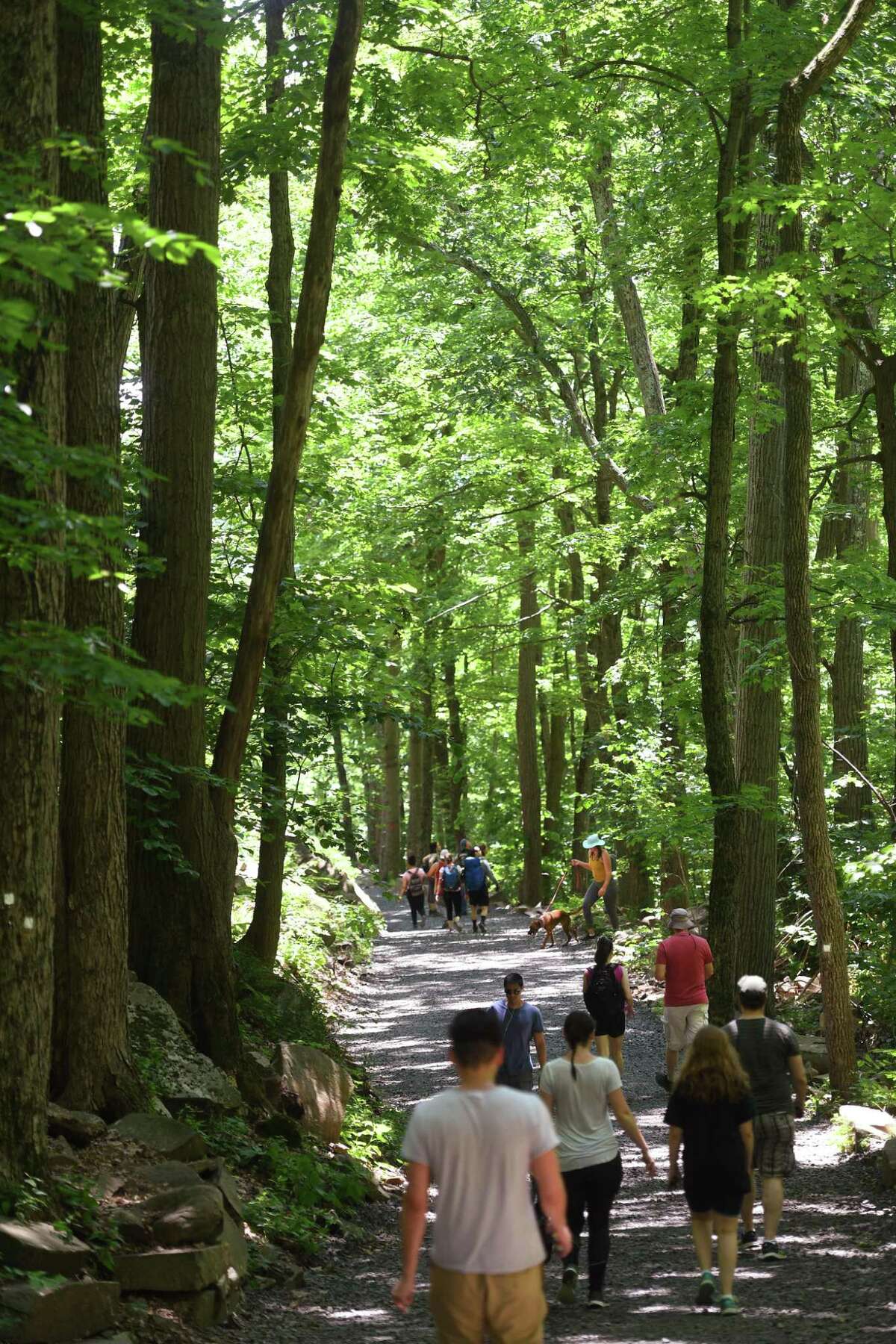 Visitors head down the extremely popular Tower Trail at the recently re-opened Sleeping Giant State Park in Hamden on Sunday, June 23, 2019.