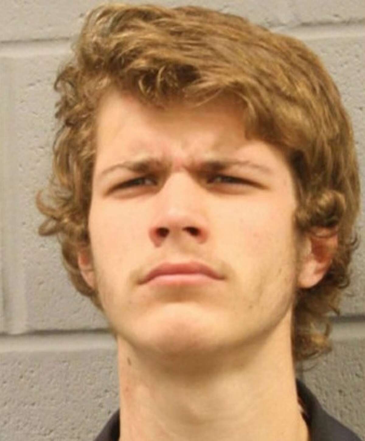 20-year-old Lucian Adrian Johnston was charged with two counts of aggravated assault with a deadly weapon, after allegedly stabbing two family members.