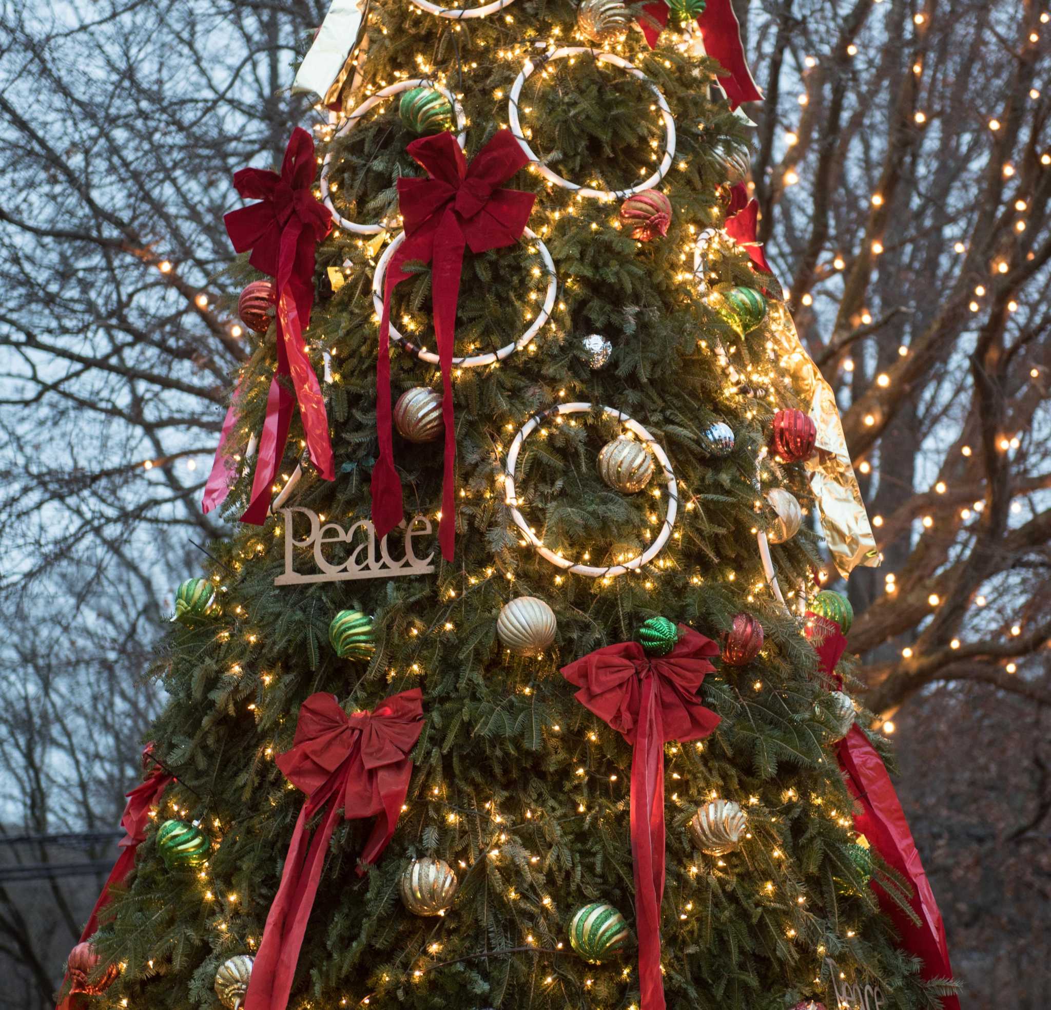 Darien Public Works holding Christmas tree pickup, releases