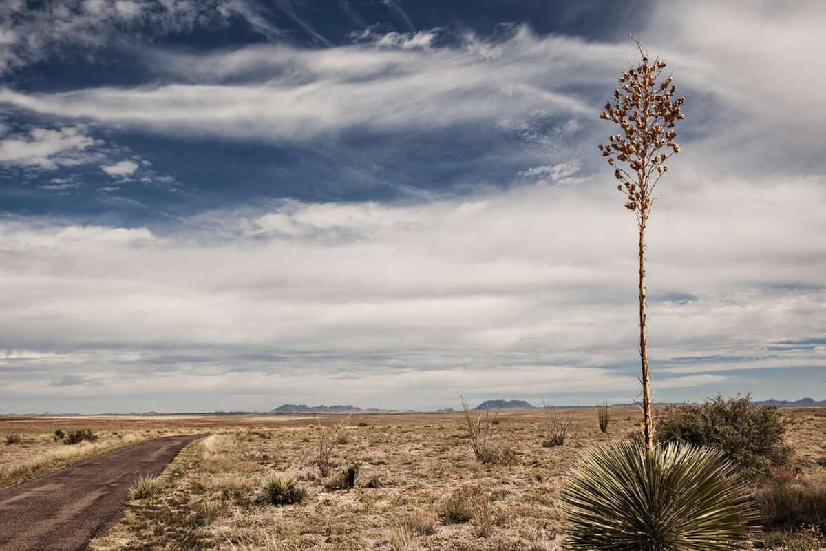 Book a Marfa, Texas ranch made famous by Beyonce, built by renowned ...