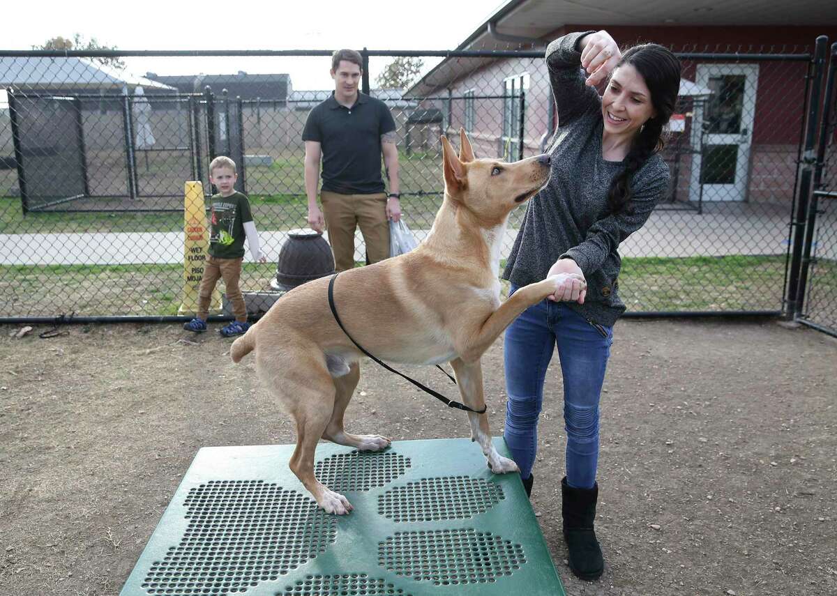 San Antonio Animal Care Services holds adoptathon special to save lives