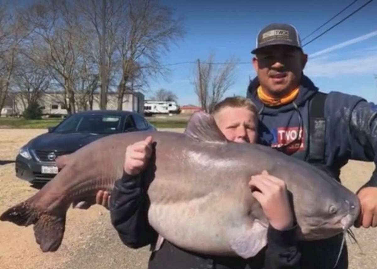 Junior State Record Blue Catfish - Rod & ReelCaught by: Brayden Rogers Where: Lake Tawakoni When: March 16, 2019