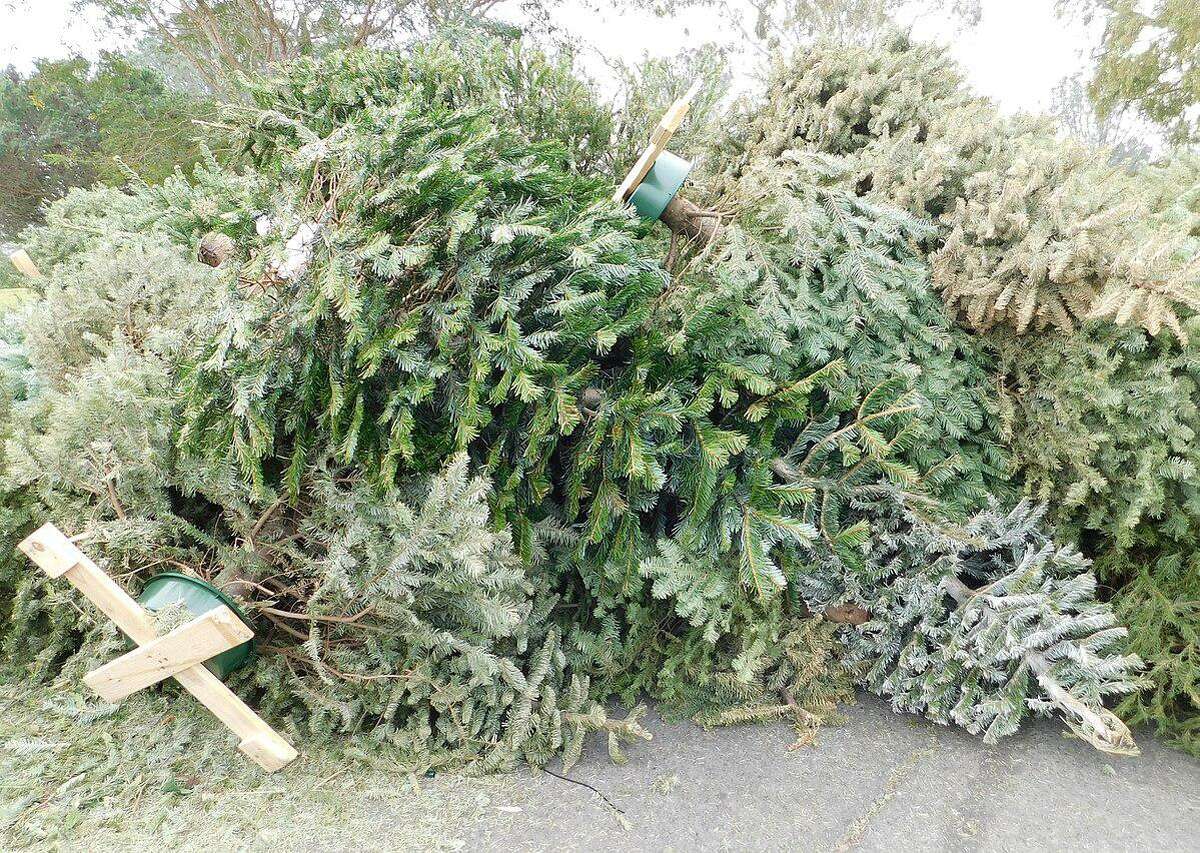 Mayor Benjamin G. Blake is encouraging residents to recycle their trees.
