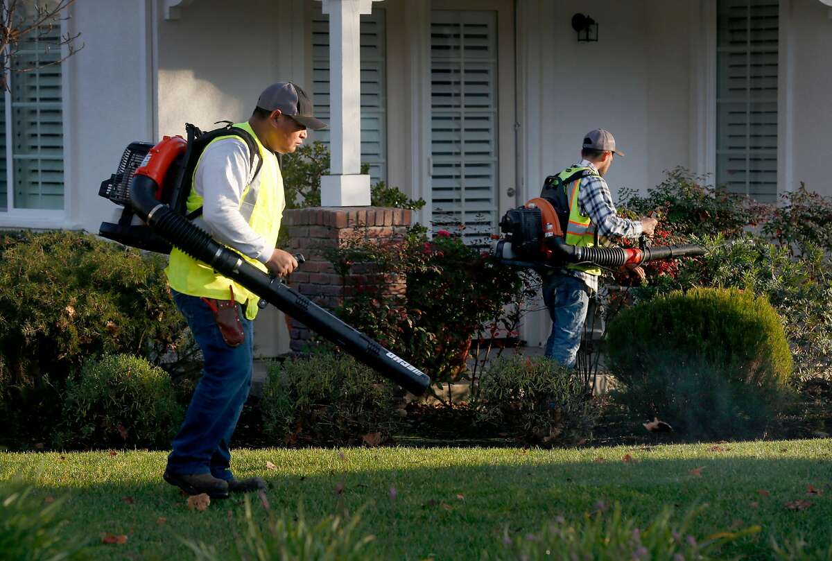 Pedro Lopez (left) and Omar Barajas from Vaca Landscaping use gas powered leaf blowers to clear a residential complex in Novato, Calif. on Friday, Jan. 3, 2020. Novato city leaders are considering a ban on gas powered landscaping equipment.