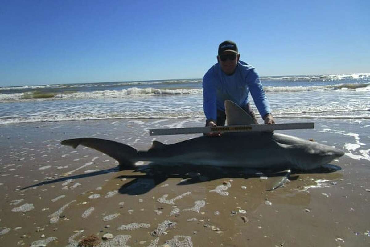 Texas Man Catches Two 7 Foot Sharks In One Day