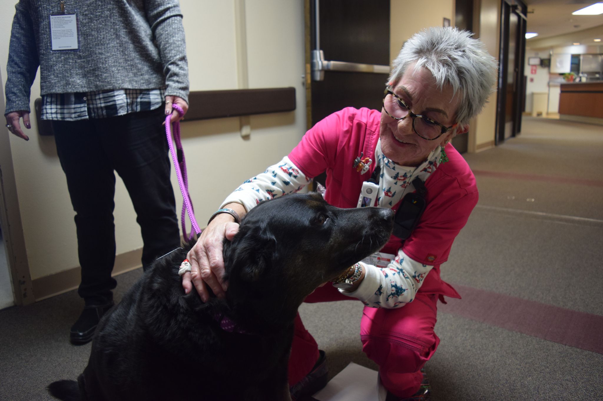 Pet Therapy: Therapy animal group now visits hospital patients and