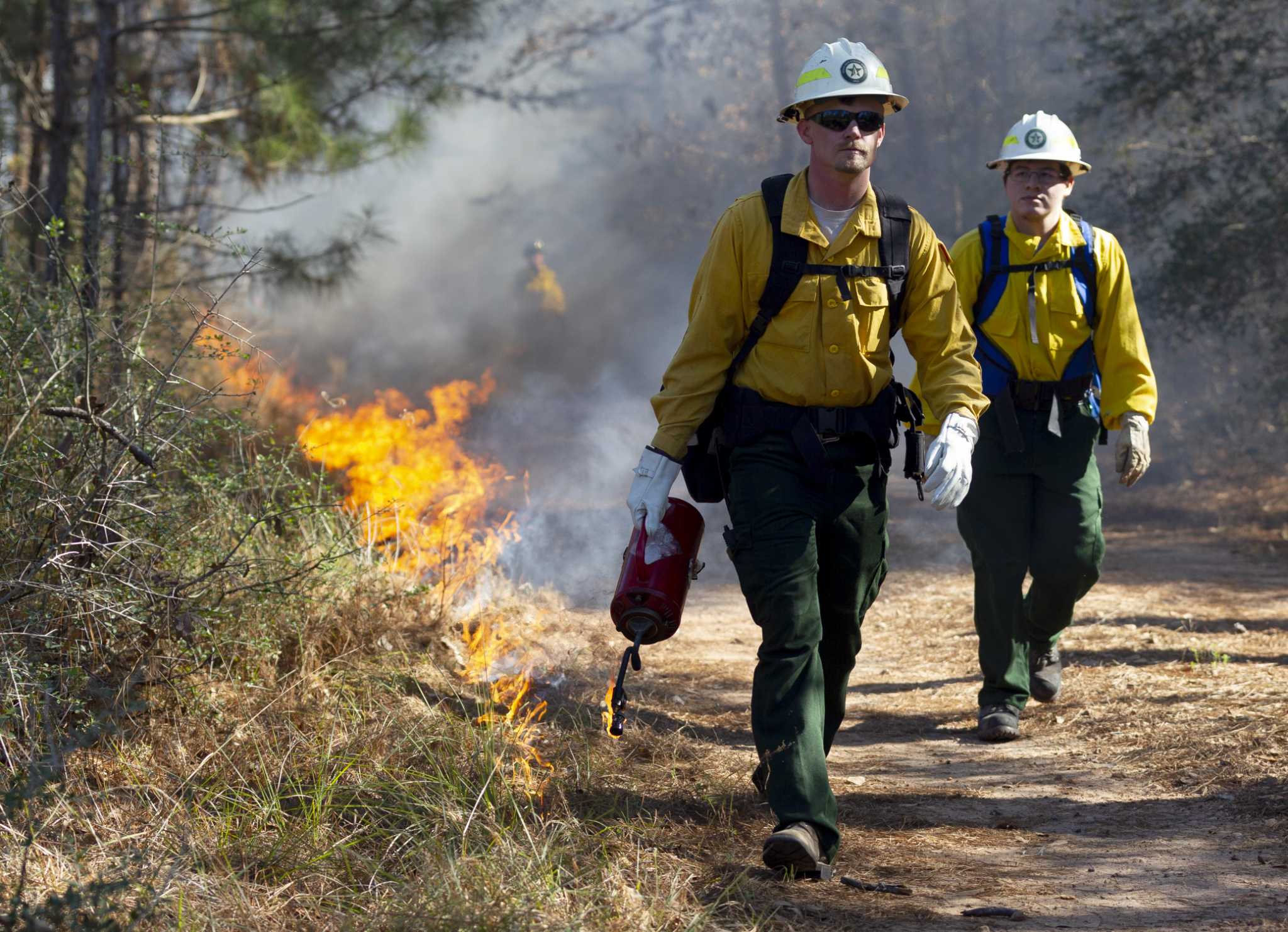 sam-houston-national-forest-prescribed-burn-monday-covers-750-acres