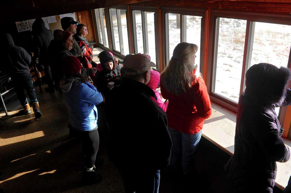 Bald Eagle Population Soaring Across Connecticut