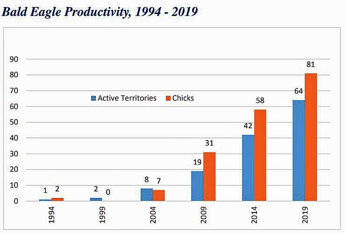 Bald eagle population soaring across Connecticut