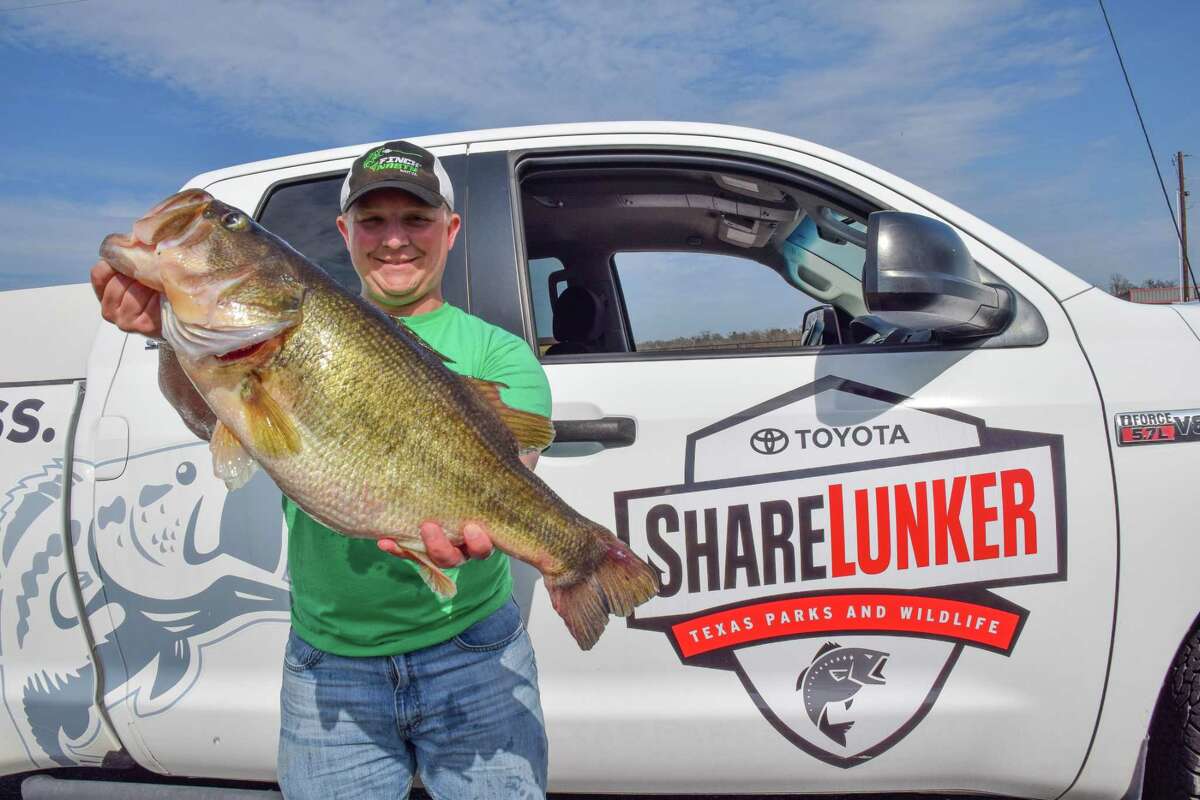 The Toyota ShareLunker program launched its 34th season on Jan. 1. Anglers who catch fish weighing upwards of 13 pounds between now and March 31 can loan the fish to the state for selective breeding.