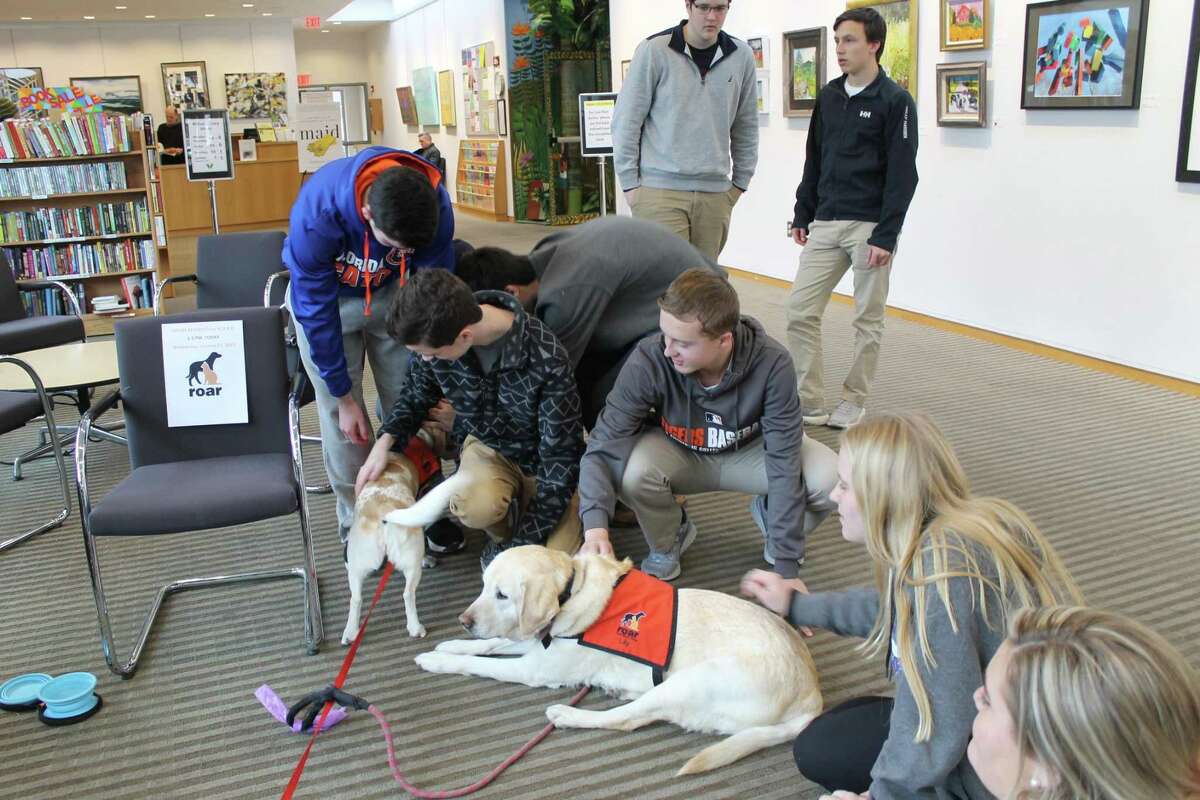 Lily and Raffi, pups from ROAR (Ridgefield Operation Animal Rescue), helped Wilton High School students de-stress during last year's midterm exam studies. This year, dogs from ROAR will visit the library on Wednesday, Jan. 22, from noon to 4 p.m. to provide some chill time for kids during their study breaks.