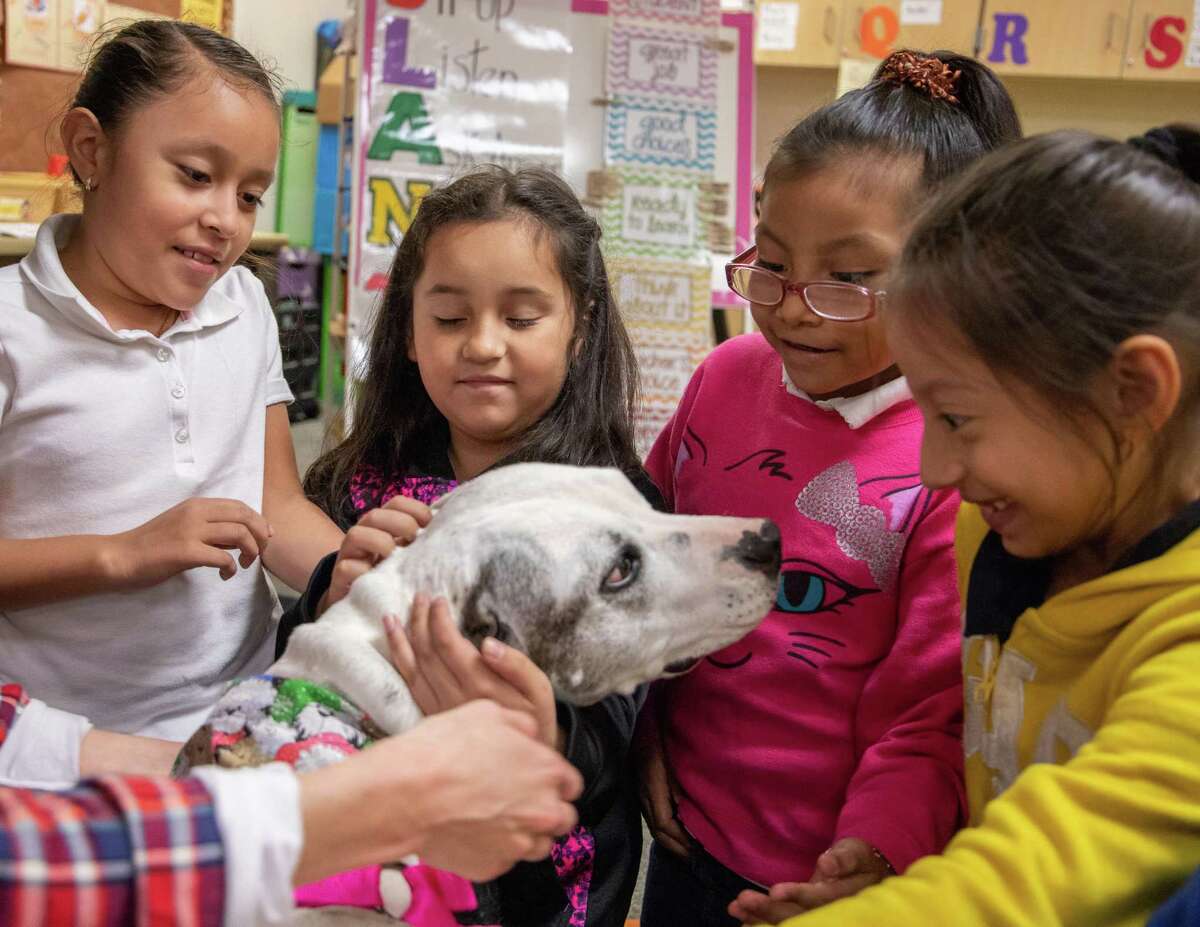 Second grade students at Lewis Elementary School in Spring ISD pet Layla, a rescue dog helping to teach students about character development through the Healing Species of Texas program. From left to right: Nicole Ayala, Allyson Moreno, Isabella Lopez-Venancio and Roselyn Zarceno.